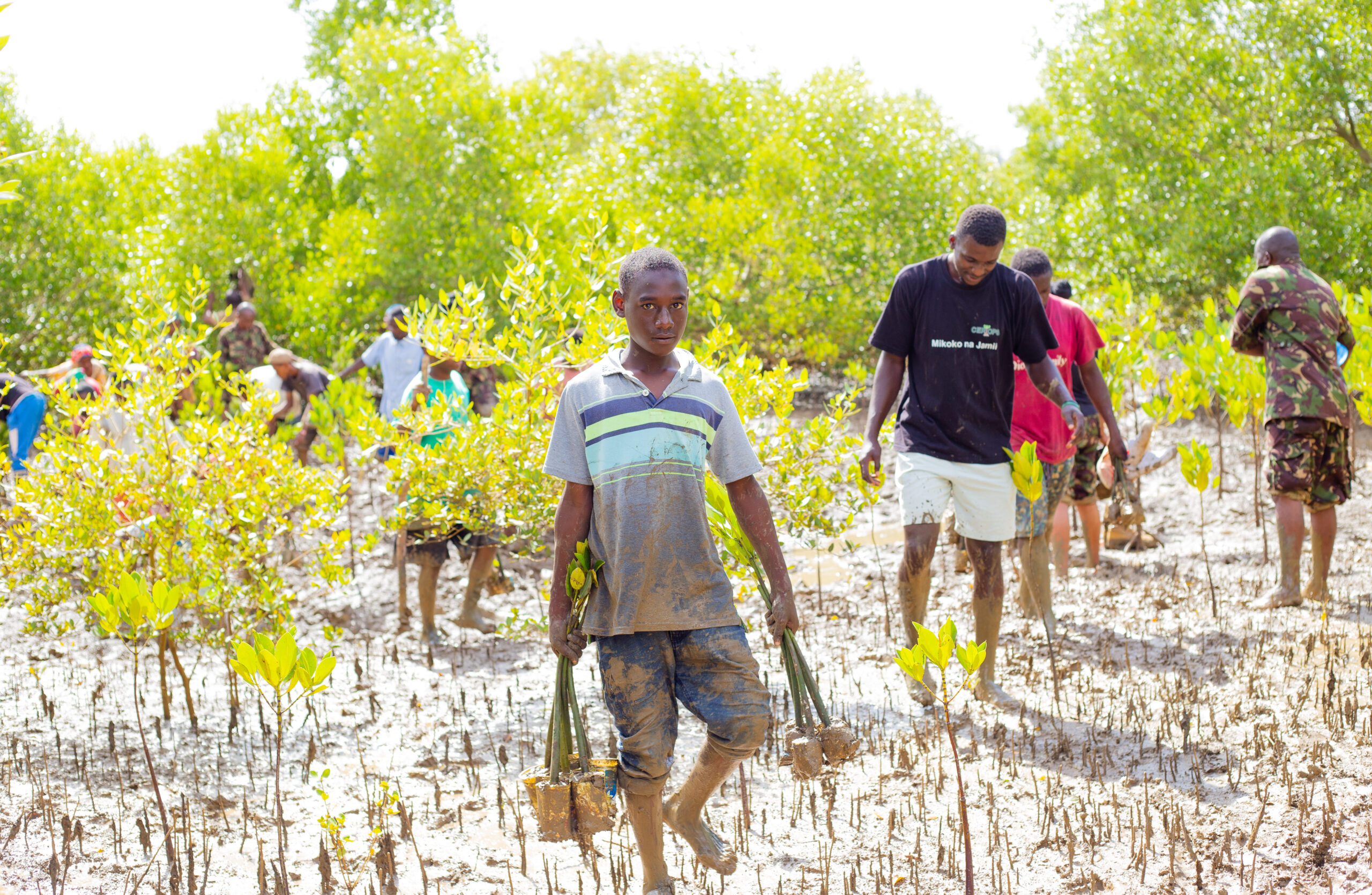 mangroves_2_©Eugiene_Ambaka