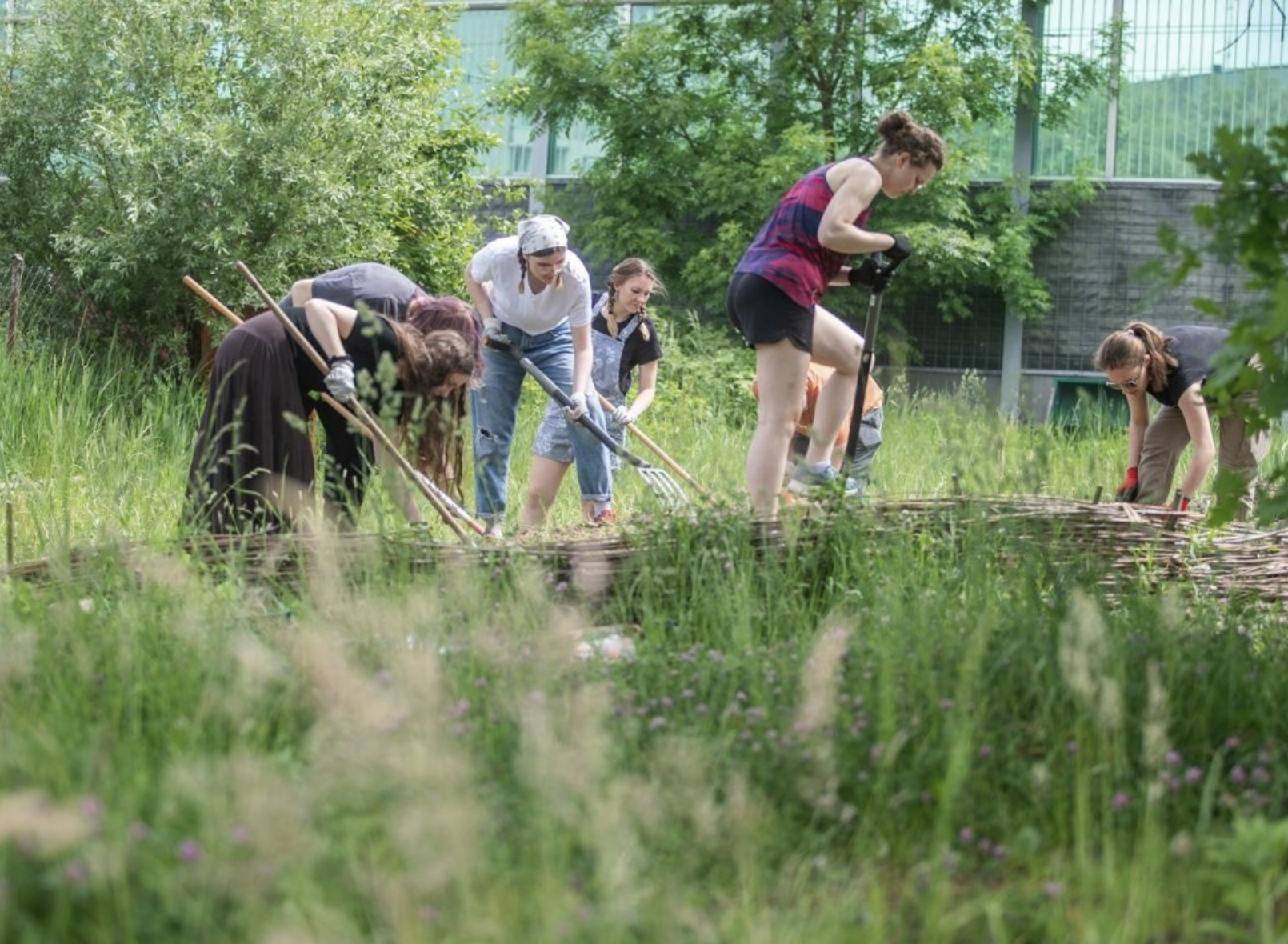 event_campus_credit_Jagelonian University