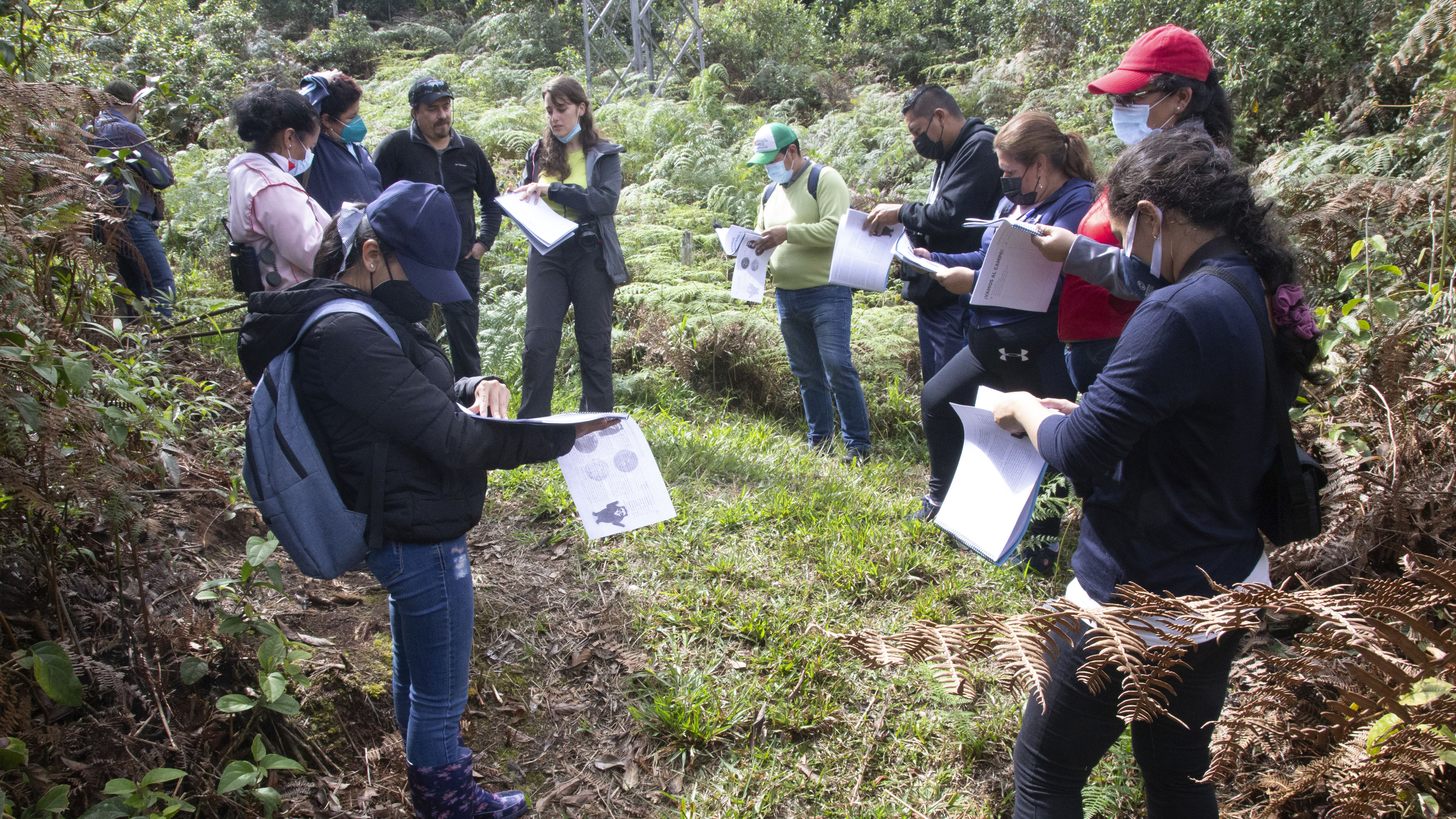 Educational Worshops | Credit: gaia-liNc