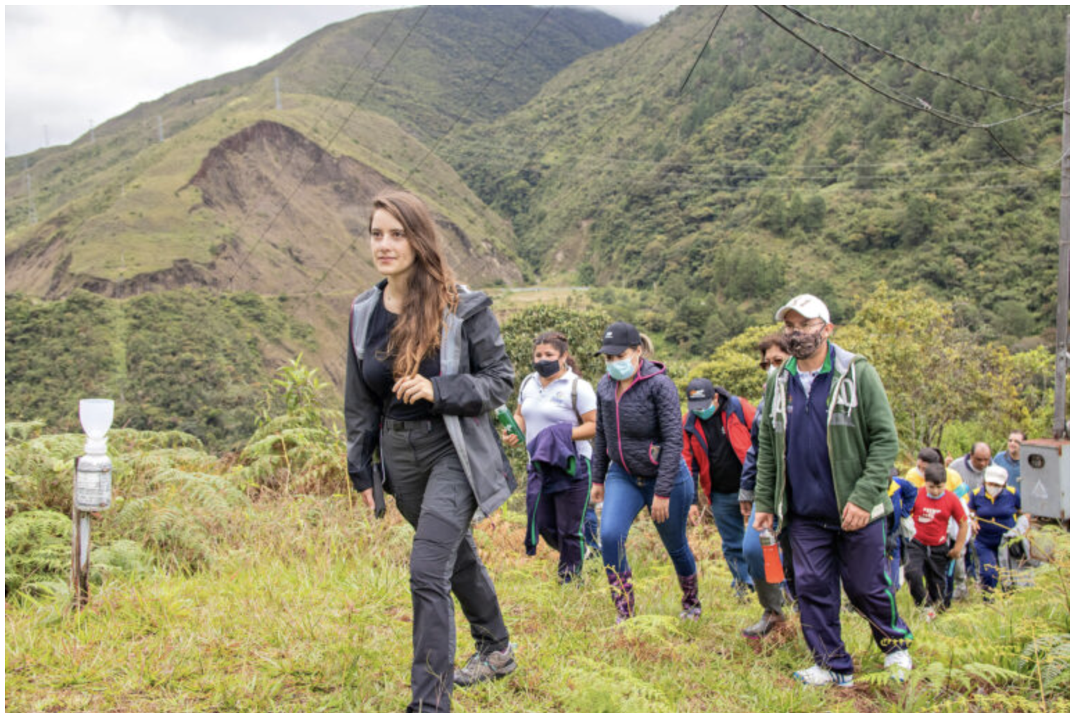 podcast_forest_education