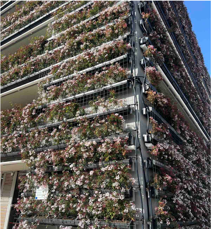 Chania vertical green3