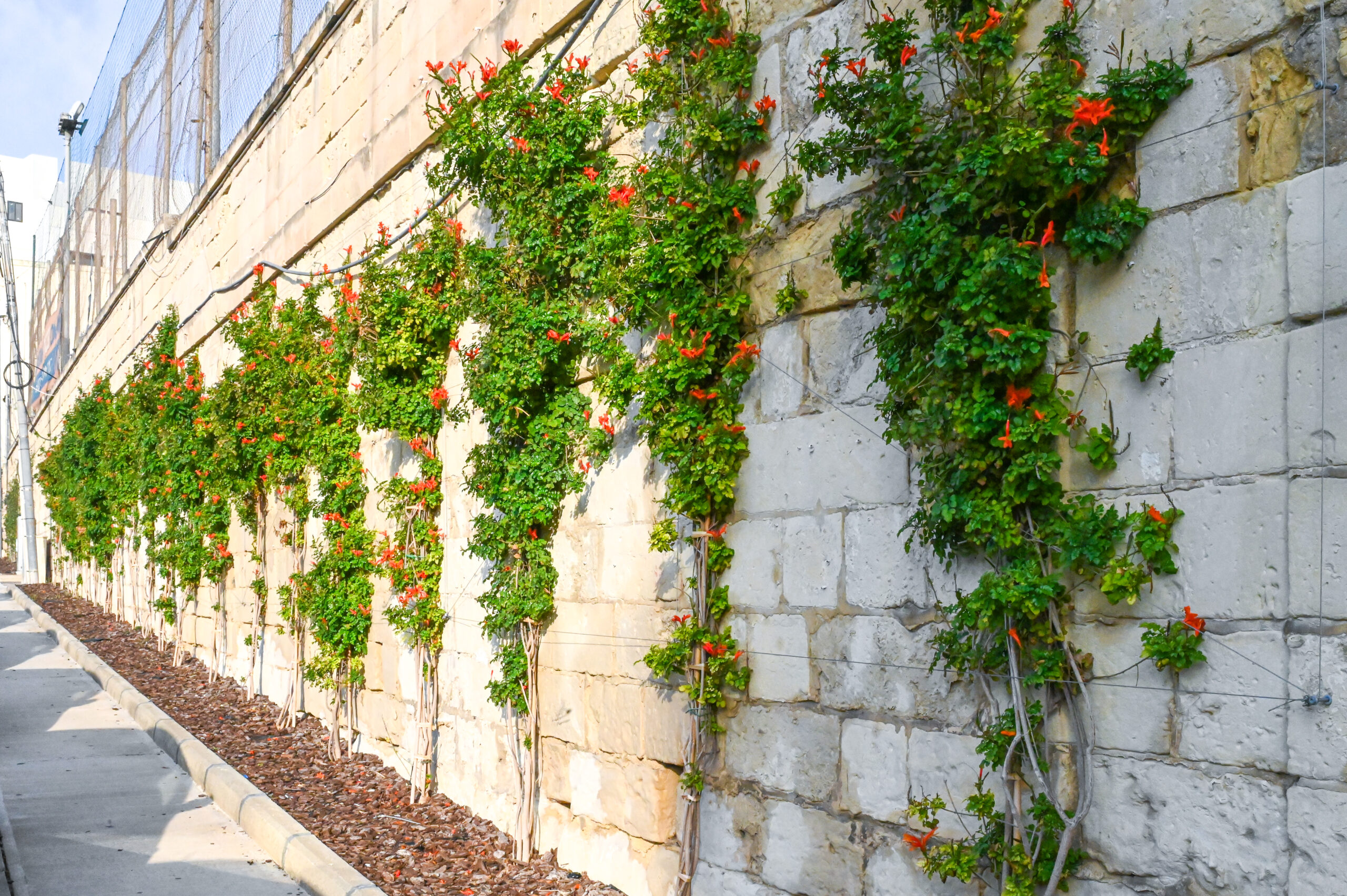 Gzira_streets_wall